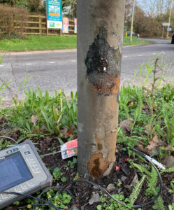 IMG_3150 Thickness Test